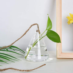 3-Piece Glass Hanging Terrarium Vases